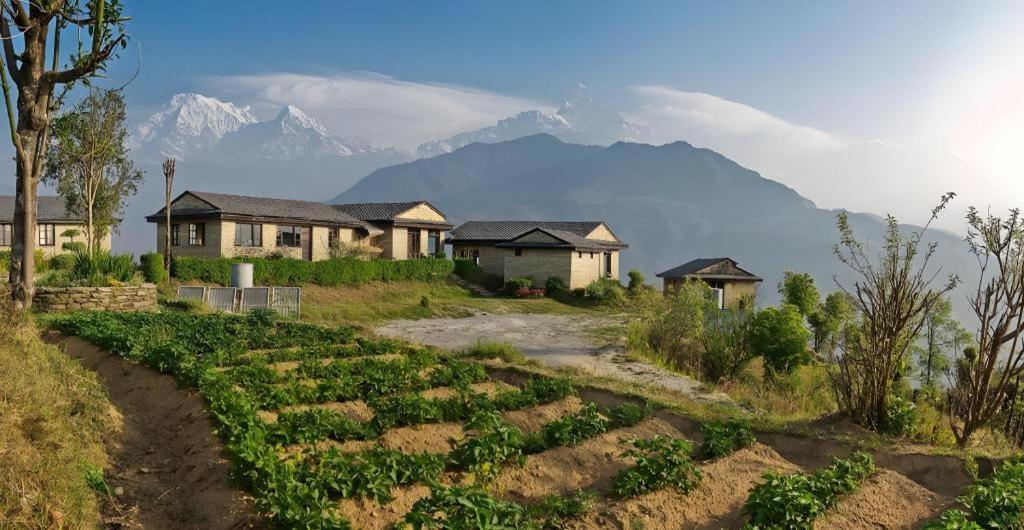 Hananoie - A Permaculture Resort Pokhara Zewnętrze zdjęcie