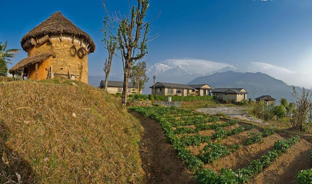 Hananoie - A Permaculture Resort Pokhara Zewnętrze zdjęcie